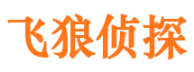 平安市侦探公司